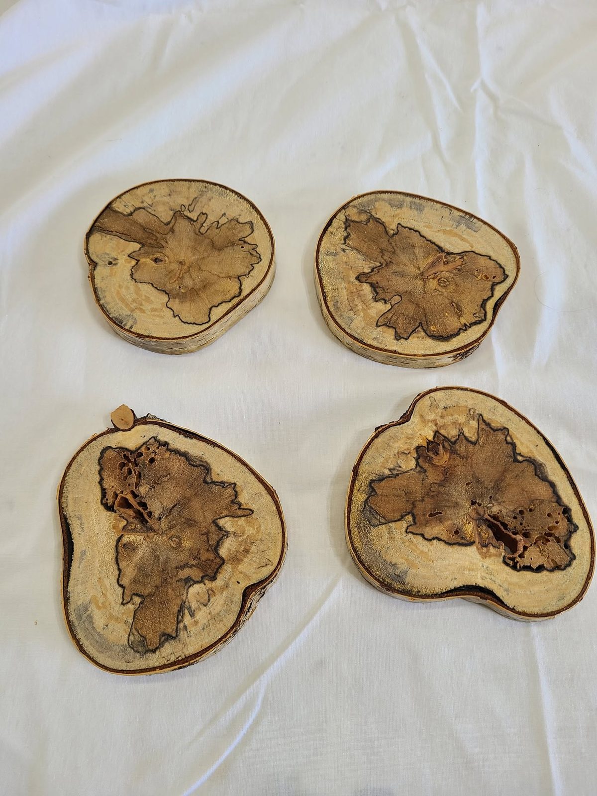 Spalted birch coasters